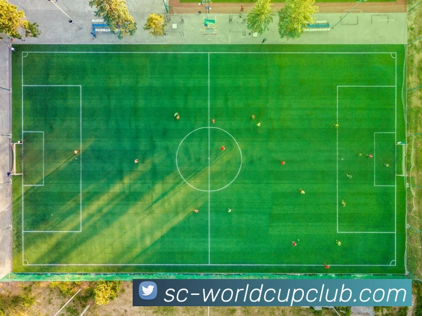 体育赛事信息品牌故事